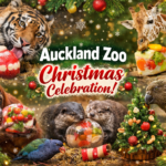 Auckland Zoo Christmas animals