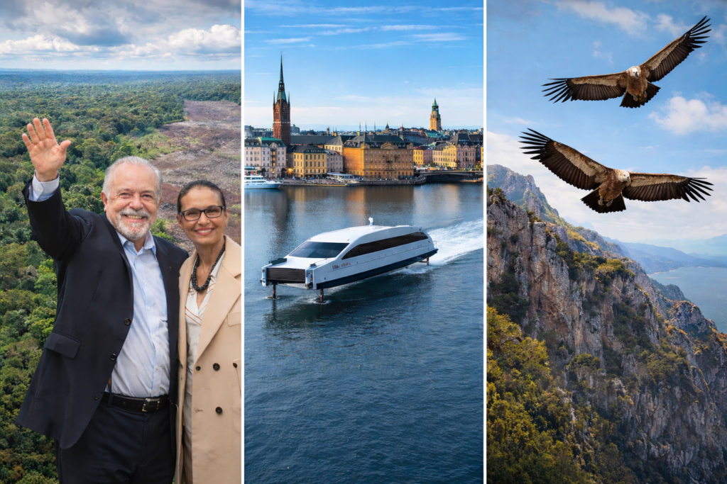 Amazon rainforest recovery, electric hydrofoil ferry in Stockholm, and griffon vultures flying over Sardinia cliffs
